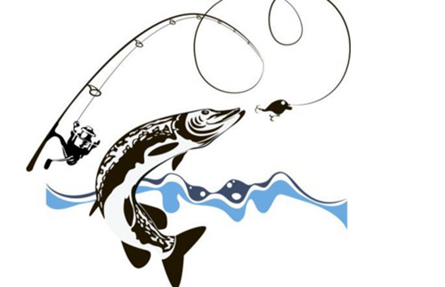 魚餌批發品牌有什么特點比較可靠？